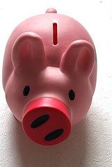 Piggy Bank 